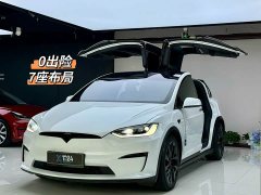 Tesla Model X 2023 Dual Motor All-Wheel Drive - ფოტო 1