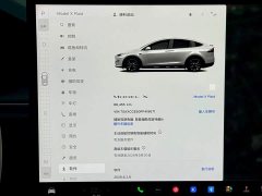 Tesla Model X 2023 Dual Motor All-Wheel Drive - ფოტო 10