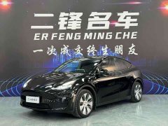 Tesla Model Y Standard Range RWD - ფოტო 1