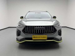 Haval Chitu 2021 Jiqing Edition 1.5T Golden Rabbit - ფოტო 2