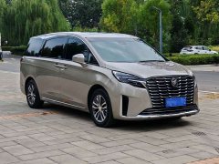 Buick GL8 ES Luxe Enjoyment Edition - ფოტო 3