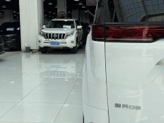 Denza BYD Denza D9 DM-i 980 Four-Wheel Drive Premium - ფოტო 19
