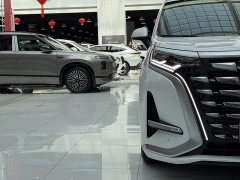 Denza BYD Denza D9 DM-i 980 Four-Wheel Drive Premium - ფოტო 4
