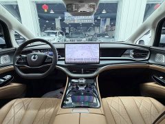 Denza BYD Denza D9 DM-i 980 Four-Wheel Drive Premium - ფოტო 9
