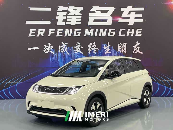 BYD Dolphin 420km Freedom Edition - ავტომობილი ჩინეთიდან