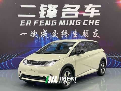 2025 BYD Dolphin 420km Freedom Edition - ავტომობილი ჩინეთიდან