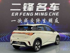BYD Dolphin 420km Freedom Edition - ფოტო 3