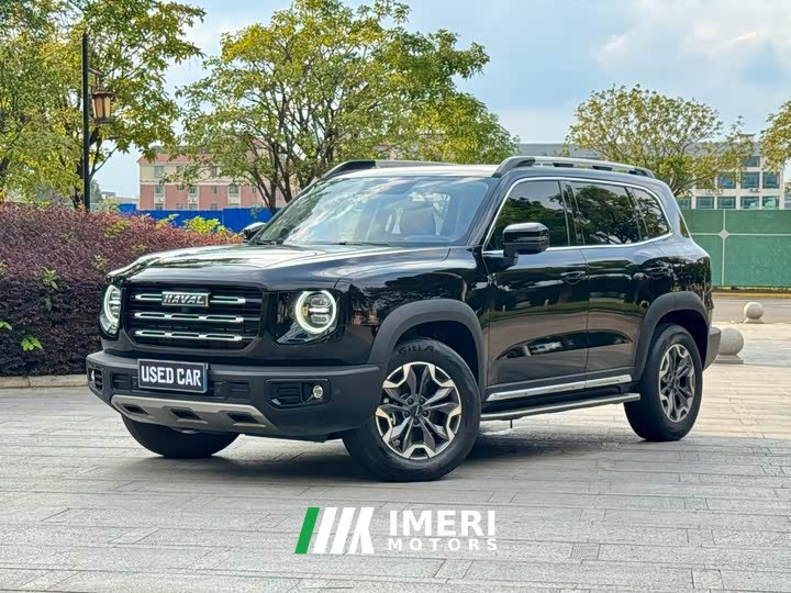 Great Wall Dachshund 2.0T DCT Four-Wheel Drive Chinese Rural Dog Edition