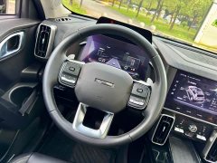 Great Wall Dachshund 2.0T DCT Four-Wheel Drive Chinese Rural Dog Edition - ფოტო 12