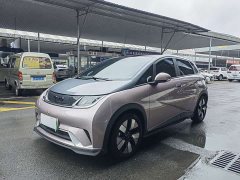 BYD Dolphin 401km Knight Edition - ფოტო 1