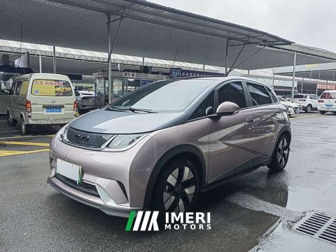 2023 BYD Dolphin 401km Knight Edition - car from China