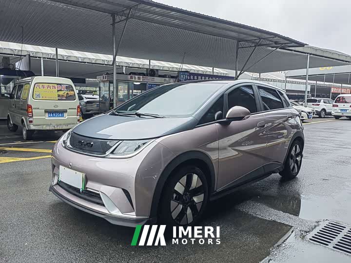 BYD Dolphin 401km Knight Edition