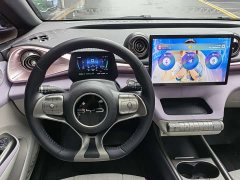 BYD Dolphin 401km Knight Edition - ფოტო 11