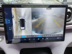 BYD Dolphin 401km Knight Edition - ფოტო 18