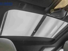 BMW 5 Series Facelift 530Li Premier M Sport Package - ფოტო 20