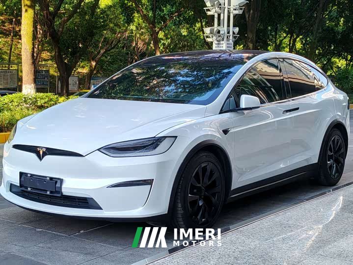 Tesla Model X Dual Motor All-Wheel Drive - ავტომობილი ჩინეთიდან