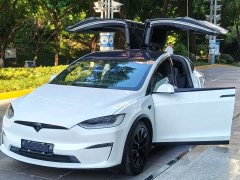 Tesla Model X Dual Motor All-Wheel Drive - ფოტო 2