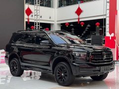 Tank 500 New Energy 2024 Hi4-T Black Warrior Edition - ფოტო 3