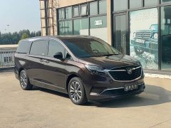 Buick GL8 ES Lu Zun 653T Premier - ფოტო 3