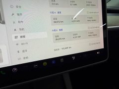 Tesla Model Y Standard Range RWD - ფოტო 15