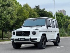 Mercedes-Benz G-Class G 500 - ფოტო 1