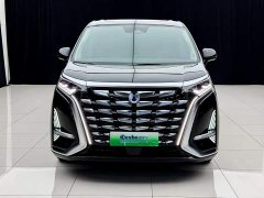 Denza BYD Denza D9 DM-i 980 Four-Wheel Drive Flagship - ფოტო 1