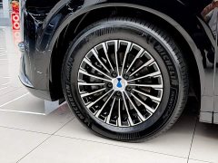 Denza BYD Denza D9 DM-i 980 Four-Wheel Drive Flagship - ფოტო 3