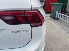 Volkswagen Tiguan L Outstanding Edition 300TSI Automatic FWD Dragon Ascendant Version - ფოტო 16