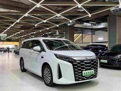 Li Auto Summer DM-i 1.5T 180km Exceed - ფოტო 10