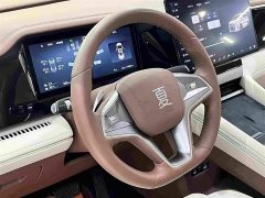 Li Auto Summer DM-i 1.5T 180km Exceed - ფოტო 18