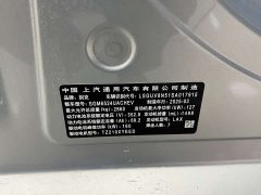 Buick GL8 New Energy Lusang Respect Edition - ფოტო 18
