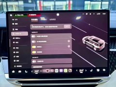 Zeekr Geely Zeekr 009 Seven-Seat Aisle Version 108kWh - ფოტო 20