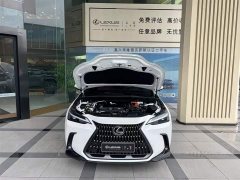 Lexus NX New Energy 400h Comfort Edition - ფოტო 3