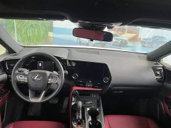 Lexus NX New Energy 400h Comfort Edition - ფოტო 5