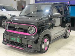 Geely Panda 210km Panda Kart - ფოტო 1