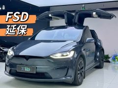 Tesla Model X Dual Motor All-Wheel Drive - ფოტო 1