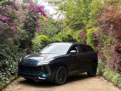 Dongfeng Hafei Fengxing T5 EVO 1.5TD DCT Glory Edition - ფოტო 1