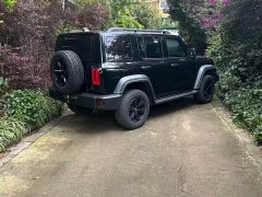 Tank 300 Off-Road Edition 2.0T Explorer - ფოტო 9