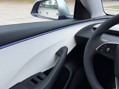 Tesla Model 3 Rear-Wheel Drive - ფოტო 10