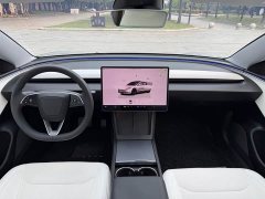 Tesla Model 3 Rear-Wheel Drive - ფოტო 12