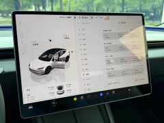 Tesla Model 3 Rear-Wheel Drive - ფოტო 8