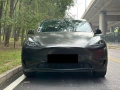 Tesla Model Y Rear-Wheel Drive - ფოტო 2