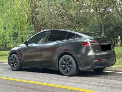 Tesla Model Y Rear-Wheel Drive - ფოტო 4