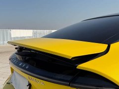 Lotus EMEYA S - ფოტო 14