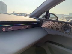 Lotus EMEYA S - ფოტო 20