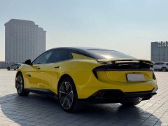 Lotus EMEYA S - ფოტო 8