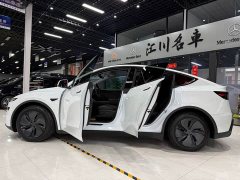 Tesla Model Y Rear-Wheel Drive - ფოტო 11