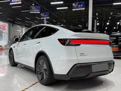 Tesla Model Y Rear-Wheel Drive - ფოტო 3