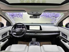 Li Auto ARIYA 2022 Two-Wheel Drive Long Range - ფოტო 14