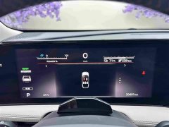 Li Auto ARIYA 2022 Two-Wheel Drive Long Range - ფოტო 20